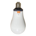 LED Rechargeable Detachable Emergency Bulb Light